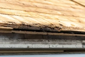 Roof replacement in albany,NY 